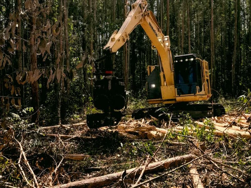 Land clearing project in Memphis